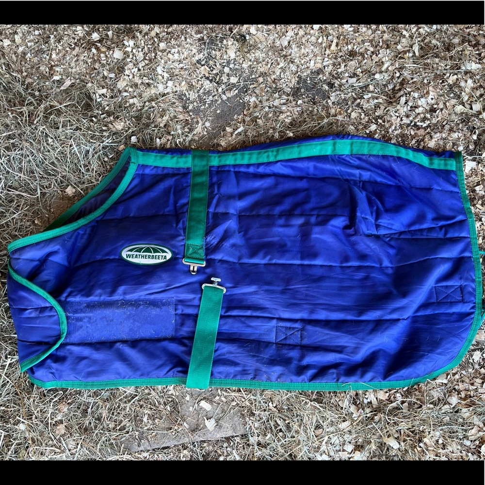 Growing foal/ pony blanket.